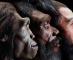 La storia dell’umanità va cambiata