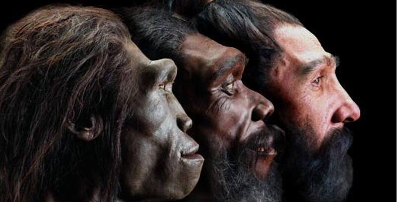 Foto Sapiens 3 1903324863 (1)