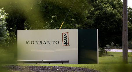 Il tribunale su Monsanto-Bayer: “il glifosato fattore determinante per il cancro”