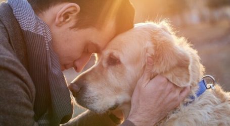 Il Cancro Spiegato Facile Facile al Mio Cane