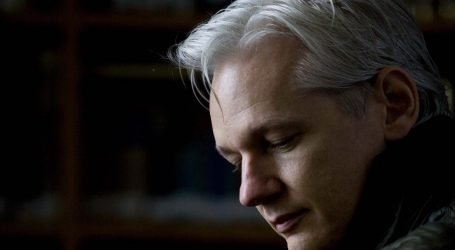 LA VITTORIA DI JULIAN ASSANGE