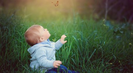 Bibbiano Specchio della Societa’