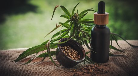 Cannabis: L’erba Medica che Guarisce