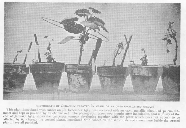 External content.duckduckgo.comh