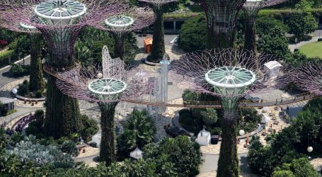 Mentre noi Pensiamo al Virus Singapore Pianterà’ un Milione di Alberi entro il 2030