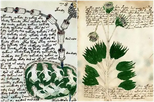 Ancient technologyVoynich 3 (1)