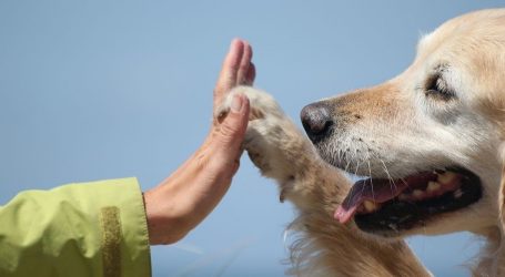 5 Motivi per cui i Trattamenti Alternativi per il Cancro Falliscono