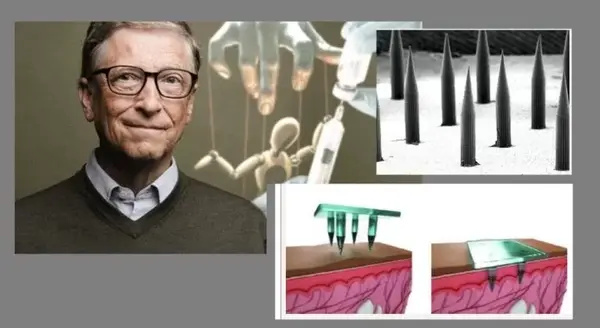 External content.duckduckgo.com 