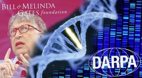 Documentazione Ufficiale sulla Deliberata Immissione del Coronavirus su scala Globale