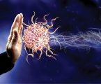 Quello che non vi hanno mai detto sull’Immunità, il Cancro e i Vaccini