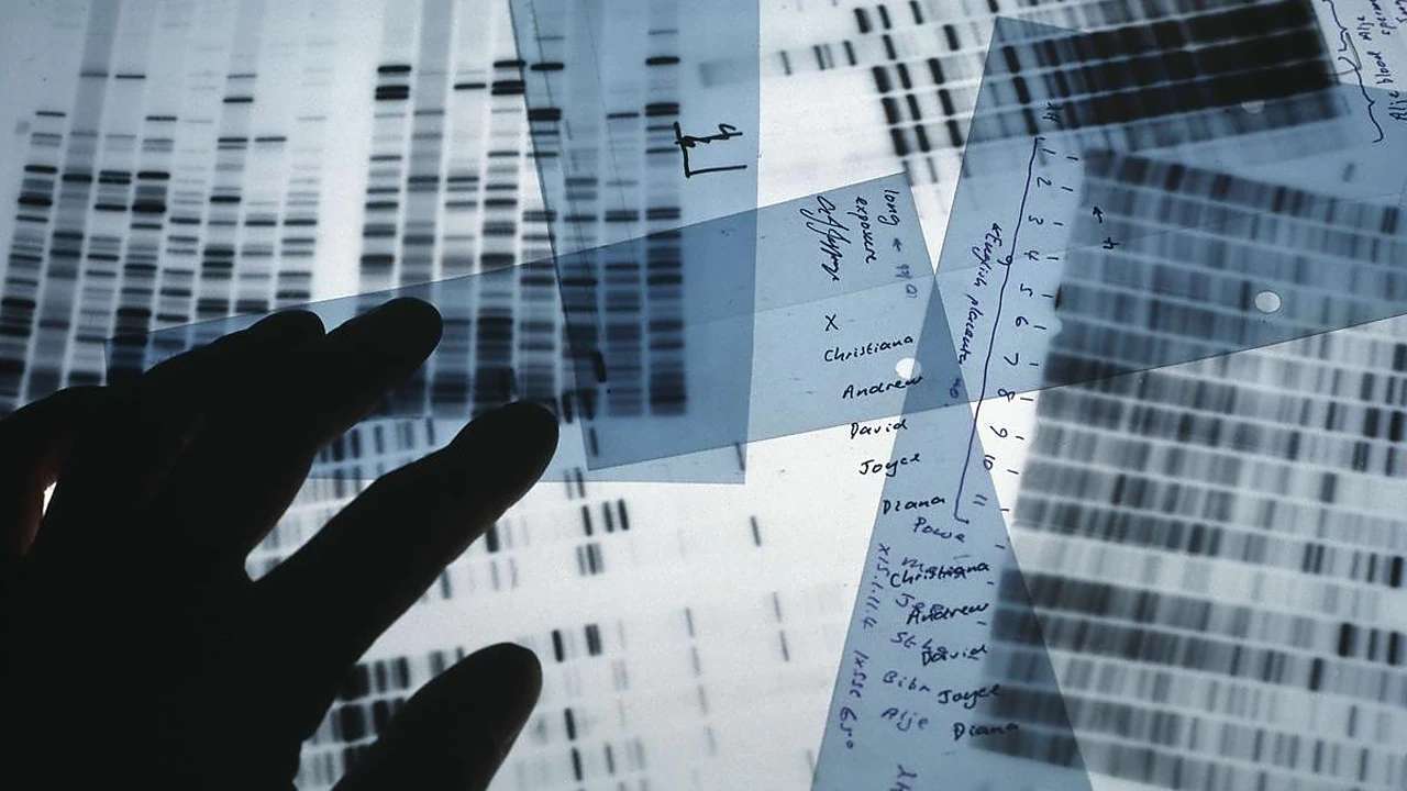 1629392664 tmp aafnhhc1bohpkuk4p8qd