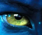 Psicopatologia del Totalitarismo: Una via di Uscita dall’Alienazione Collettiva