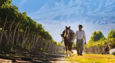 Argentina Terra Tutta da Scoprire