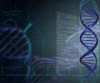 Il 97 % del Nostro DNA ha Uno Scopo Superiore e non è “Spazzatura” come Dicono gli Scienziati