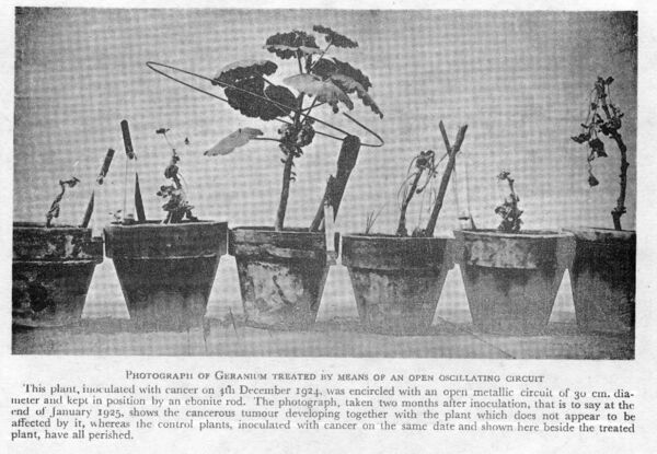 Georges Lakhovsky 14 (1)