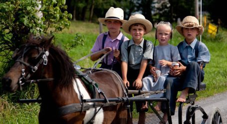 Secondo uno Studio i Bambini Amish non si Ammalano di Cancro, Diabete o Autismo, Provate ad Indovinare Perché?