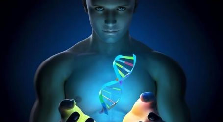 Il Codice Genetico (DNA) Spiegato Nei Dettagli che Cambierà il tuo Modo di Concepire la Vita