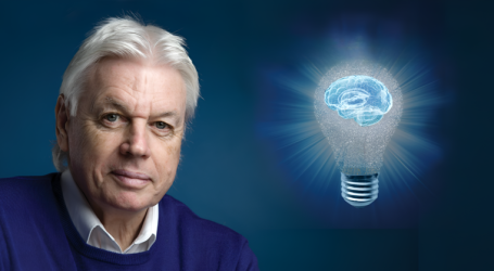 Intervista con David Icke di Rick Martin