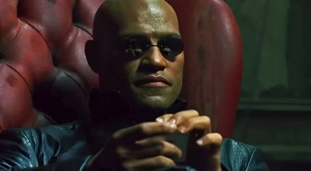 La Stupidità Appartiene a Tutti gli Strati Sociali, ma il Loro Effetto su di Noi è Proporzionale al Potere che Possiedono