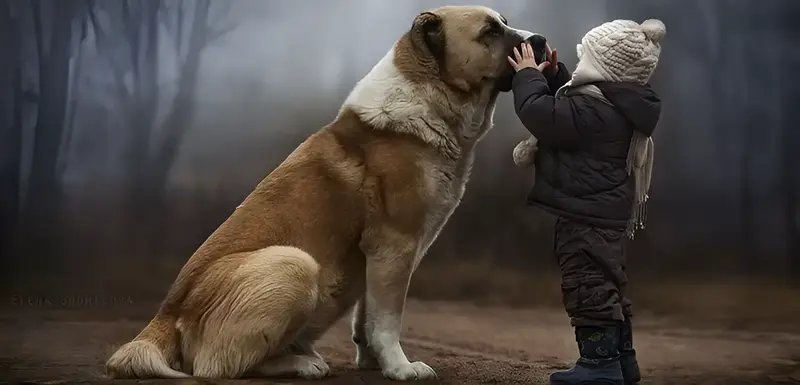 Animal children photography elen