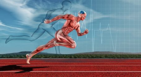Comprendere il Tipo di Fibra Muscolare in chi Corre e fa Sport è Fondamentale “2 Parte”