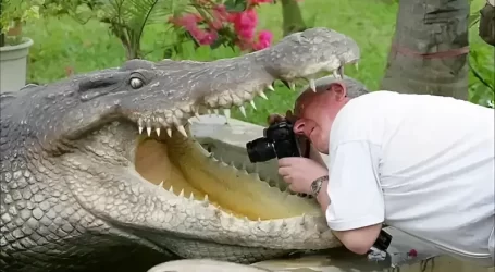 Le Leggi di Base della Stupidità Umana che ci Complicano la Vita e che è Importante Conoscere