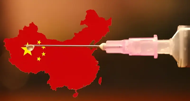 329504 205782 35252 (1) (1)