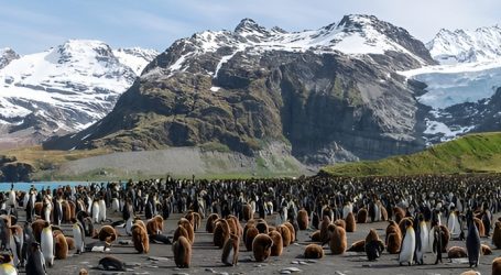 I Ghiacci di Oggi sono 8 Volte più Grandi di Quelli degli Ultimi 8.000 anni: Un Nuovo Studio Sfata il Mito del “Ghiacciaio dell’Apocalisse”