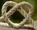 Districare il significato dell’amore