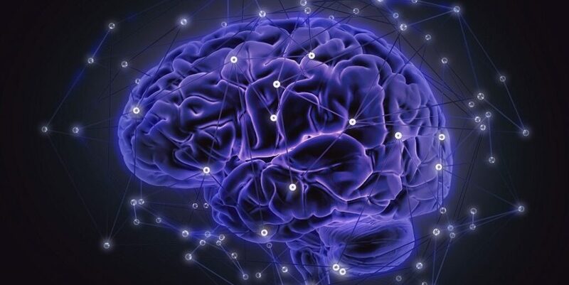 1547738821 cervelletto 1024x575