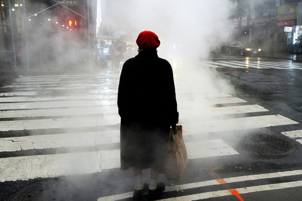 225598 sd 2648238796 (1)