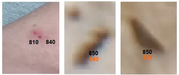 5de205e9 dfa5 461c b24e bcd4a7cc