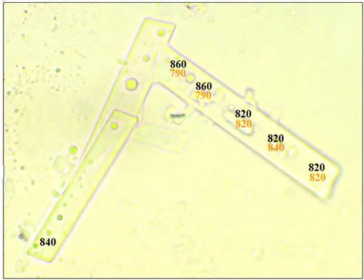 76ed78d4 1f1a 4937 a766 50323b2bc5b1 527x405