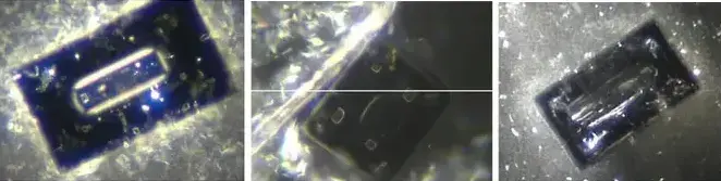 8d65ca30 15fd 4150 a97a 9b94e230