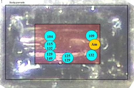 B7e18dc3 084f 45a9 9d0a c5babd9c3df4 458x301