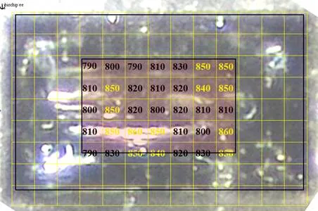 C11f3b55 80cd 4fab 8a7d 791627ff8ae6 452x300