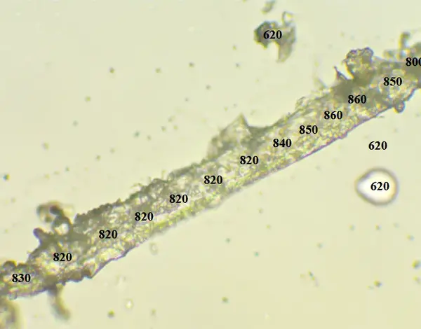 D7a26e49 213b 4e84 99f7 5ac70e79