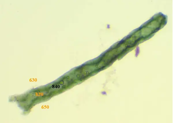 Dcba1703 ca92 460f 8928 61536623