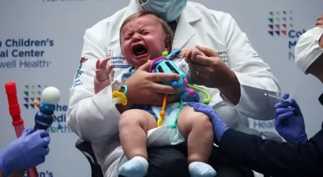 Fermate questa follia