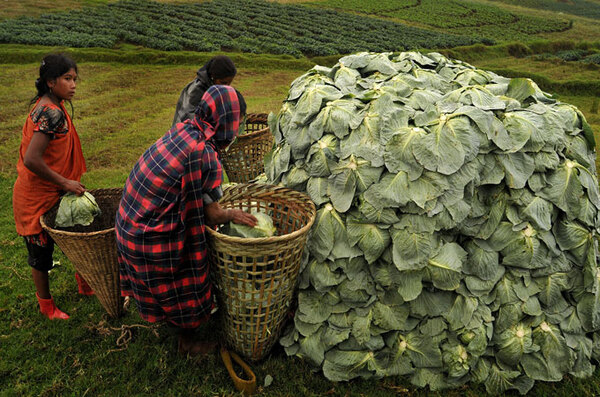 20116712823627734 20 (1)