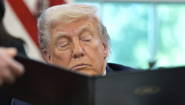 23313043 medium 1024x682 1471779 (1)