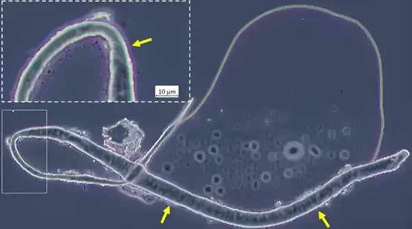 4a345770 eb33 45e2 b53d db0ad13d