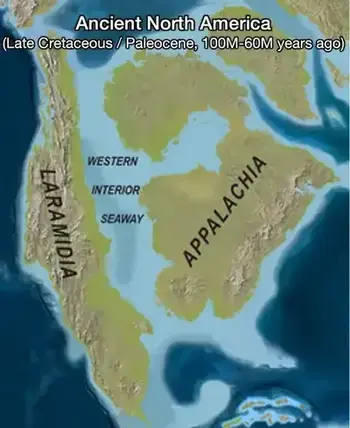 4c9b2e74 34bf 42df b801 5947c320