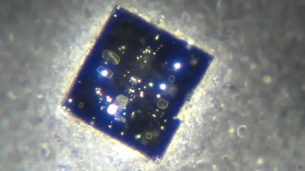 53b9b280 1566 47bb bbf3 2b0ba62c