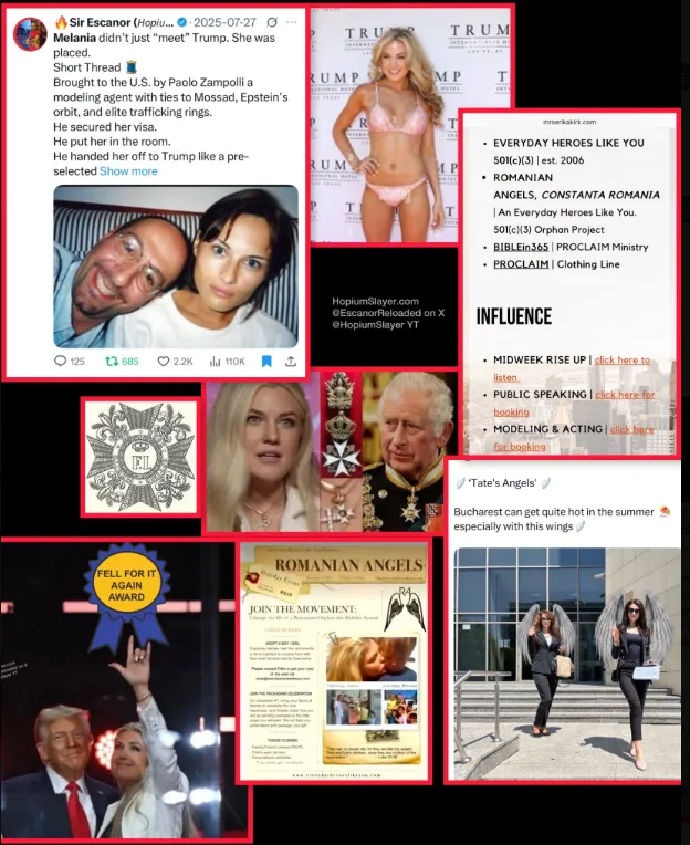 8b2928f4 b21b 48df b1a8 46677d929e86 624x764