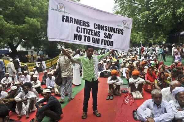 Indian farmers against monsanto 