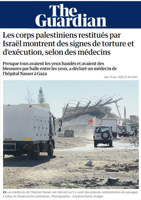 The guardian 600x851