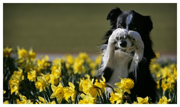 1462136370 GettyImages 80101228