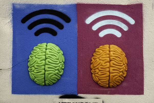 323caf48 0684 44fb a4f5 0f4dd1b5