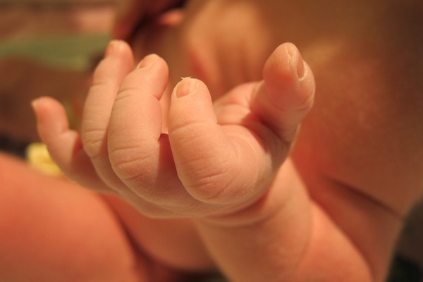 Nascite2 3593995376 (1)